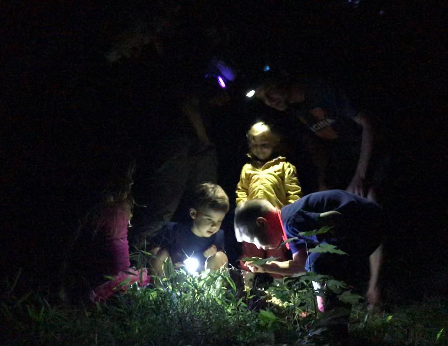illuminated on a night hike